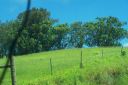 Hawaii2007-0701.jpg