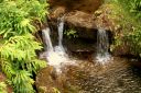 Hawaii2007-0747.jpg