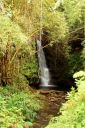 Hawaii2007-0749.jpg