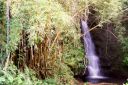 Hawaii2007-0750.jpg