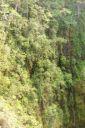 Hawaii2007-0761.jpg