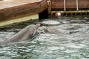 Hawaii2007-0807.jpg