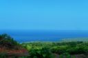 Hawaii2007-0840.jpg