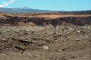 Hawaii2007-0886.jpg