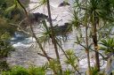 Hawaii2007-0935.jpg