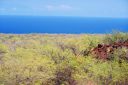 Hawaii2007-0951.jpg