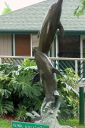 Hawaii2007-0957.jpg