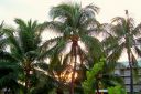 Hawaii2007-0978.jpg