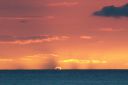Hawaii2007-1005.jpg