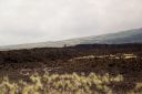 BigIsland-192.jpg