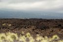 BigIsland-194.jpg