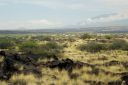 BigIsland-208.jpg