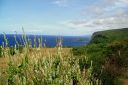 BigIsland-226.jpg