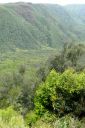 BigIsland-246.jpg