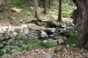 BigIsland-255.jpg