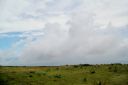 BigIsland-257.jpg