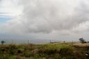 BigIsland-262.jpg