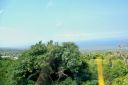 BigIsland-272.jpg