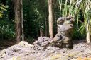 BigIsland-297.jpg