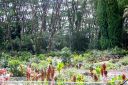 BigIsland-299.jpg