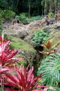 BigIsland-301.jpg