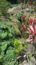 BigIsland-302.jpg