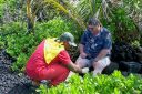 BigIsland-307.jpg