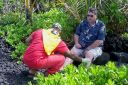 BigIsland-308.jpg