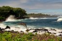 BigIsland-313.jpg