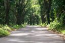 BigIsland-329.jpg