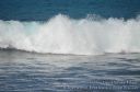 Hawaii-102.jpg