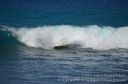 Hawaii-242.jpg