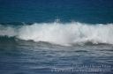 Hawaii-244.jpg