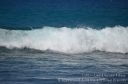 Hawaii-245.jpg