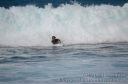 Hawaii-261.jpg