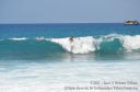 Hawaii-291.jpg