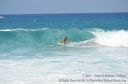 Hawaii-300.jpg