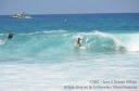 Hawaii-302.jpg