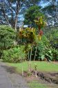 Hawaii-314.jpg