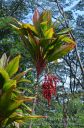 Hawaii-315.jpg