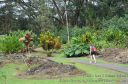 Hawaii-316.jpg
