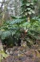 Hawaii-320.jpg