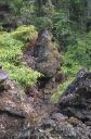 Hawaii-327.jpg
