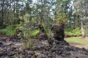 Hawaii-330.jpg