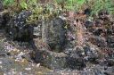 Hawaii-332.jpg