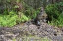 Hawaii-336.jpg