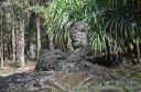 Hawaii-347.jpg