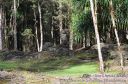 Hawaii-348.jpg