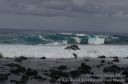 Hawaii-352.jpg