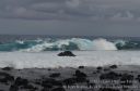Hawaii-353.jpg